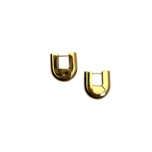 Bold Link Earring